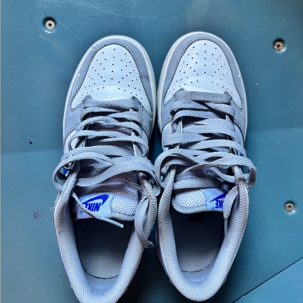 Nike Light Gray dunk Shoes